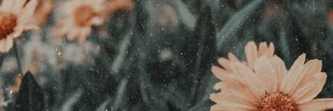 Rebeca_PerezM's profile banner image