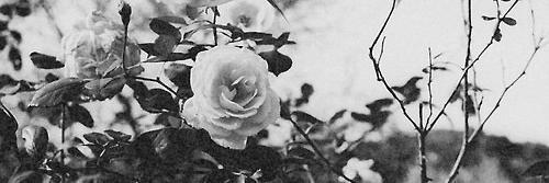 jgrr_'s profile banner image