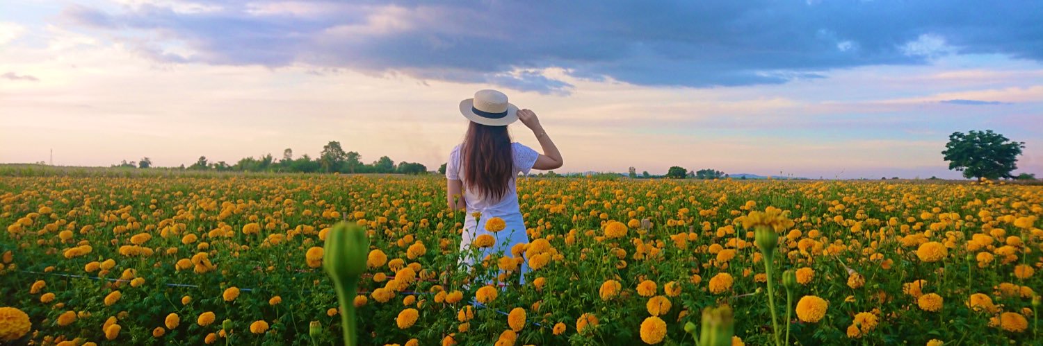 Ladyhappyday's profile banner image