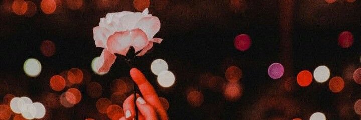 illy__xo's profile banner image
