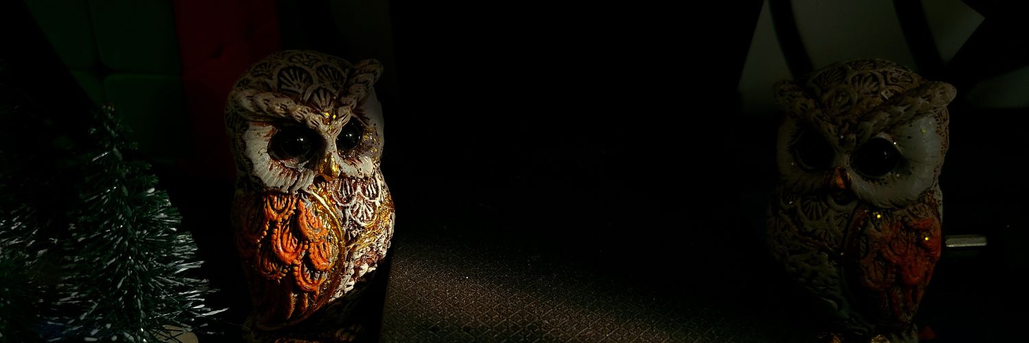 levinrockx's profile banner image