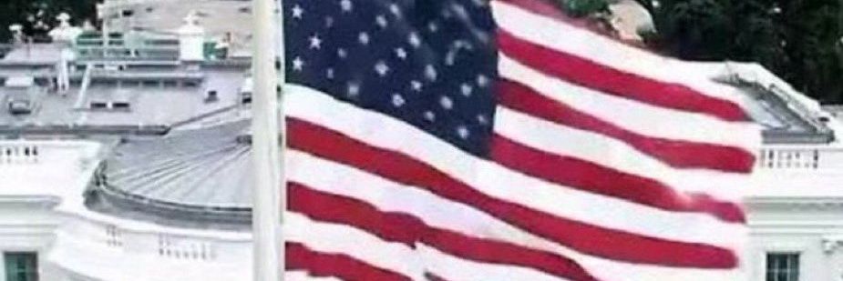 Zuliana (NiRojosVerdesNiAmarillos🌈)🇺🇲🤣's banner