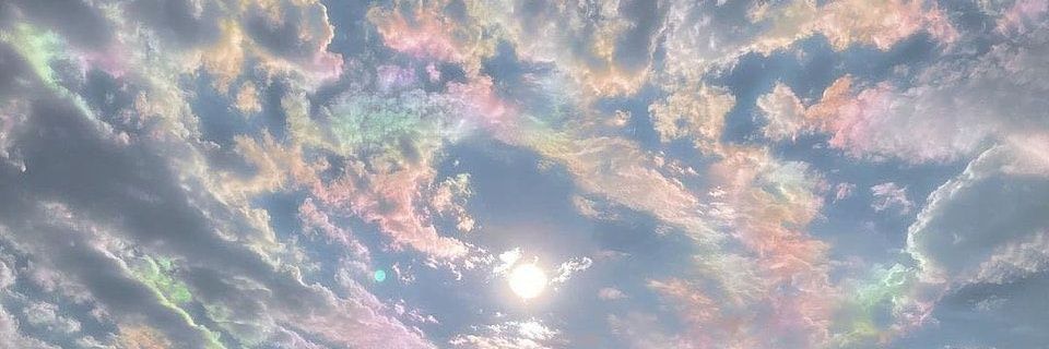 liidiahidalgo's profile banner image