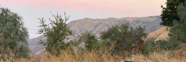 _catwu Profile Banner