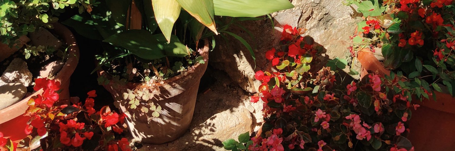 GiuliaFranco24's profile banner image
