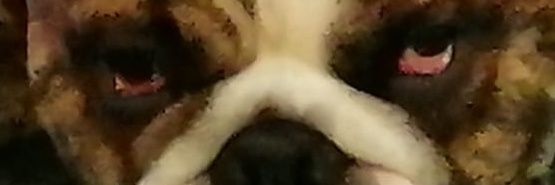 Ako treba, nema potrebe. banner
