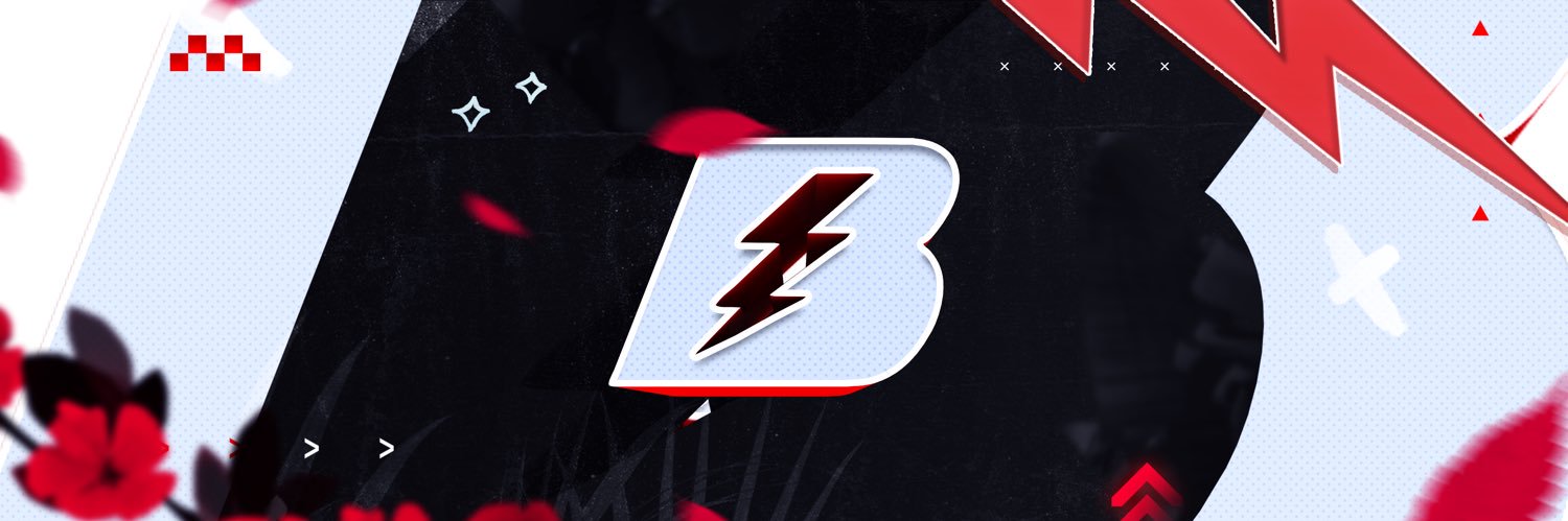 Boltz banner