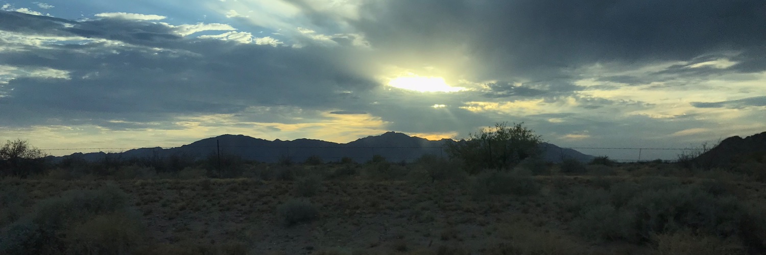 Charitierose's profile banner image
