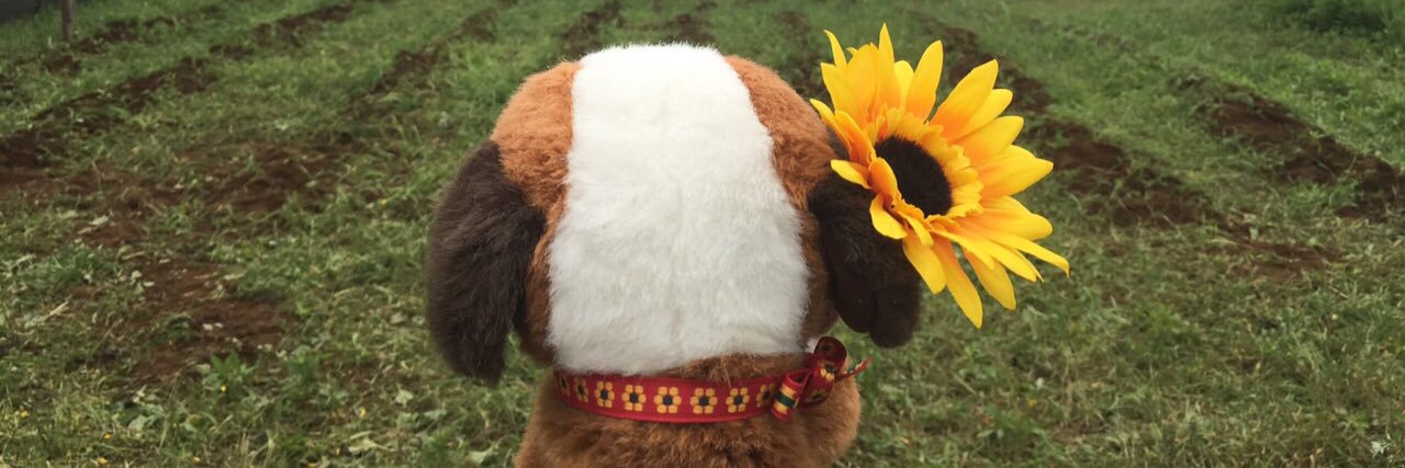 コアラくん（BAYFM MUSIC SALAD） banner