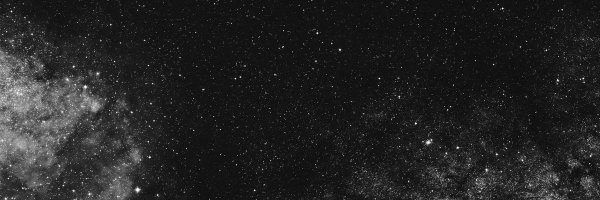 DD_Baumann Profile Banner