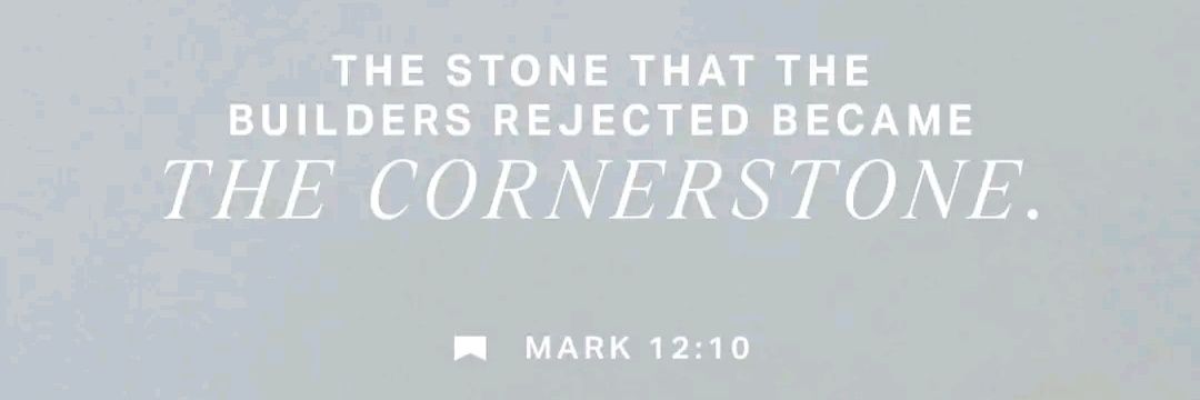 donnie brasco🦌 banner