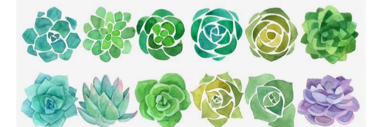 brooklennt's profile banner image