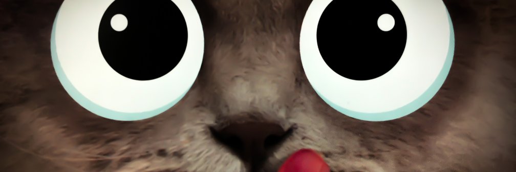 AvoKadoHusky's profile banner image