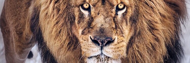 david30067's profile banner image