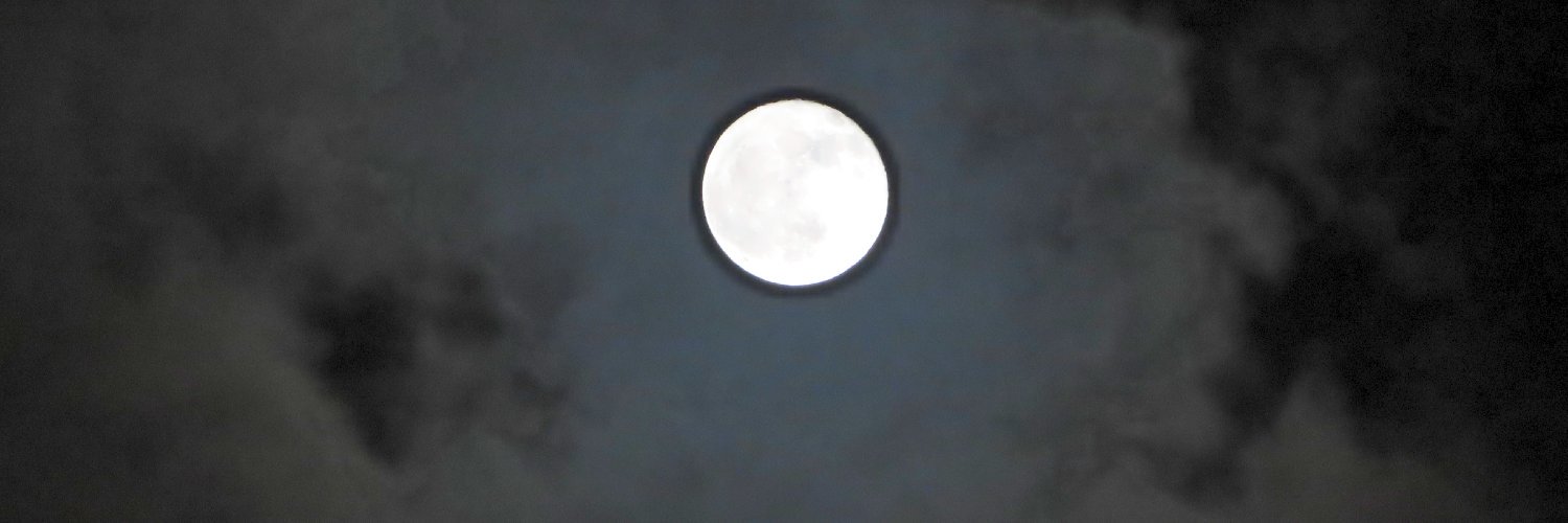 蛇悪(jack)2🐳 banner