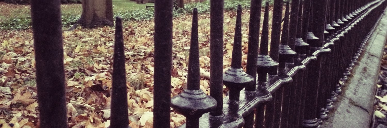 Darren S. Layne banner