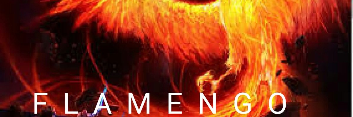 doliveira384's profile banner image