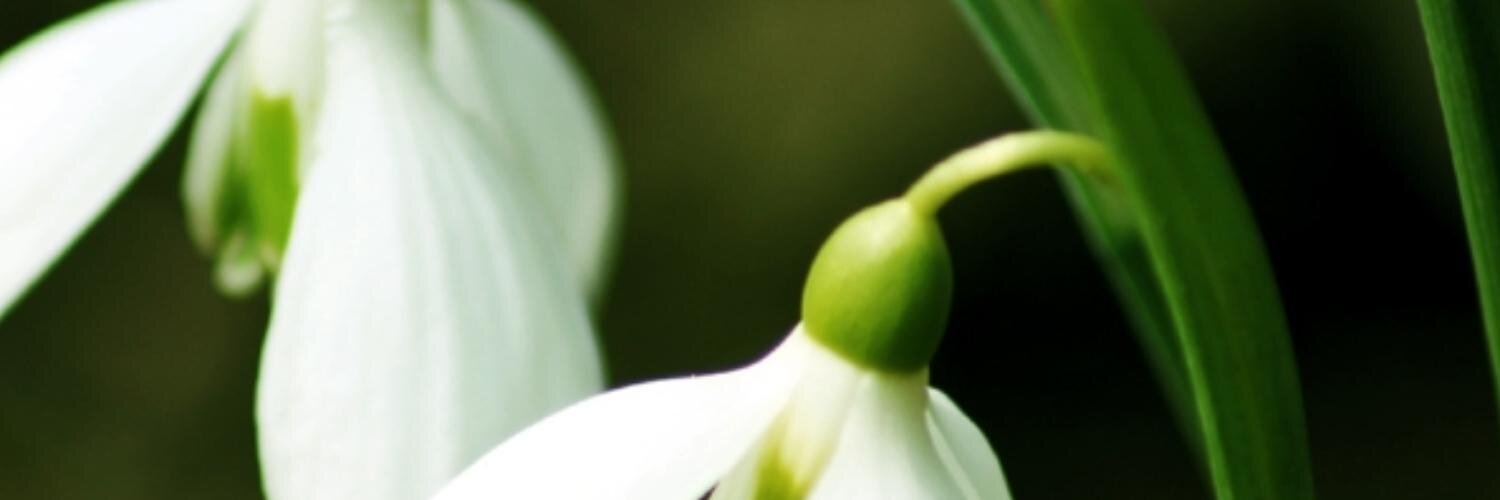 wbaudin's profile banner image