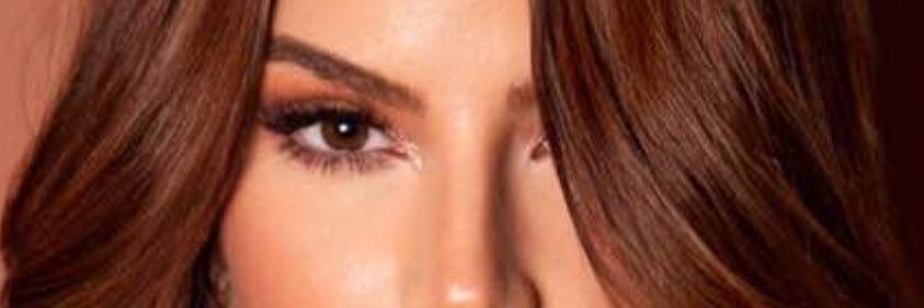 Mandi Meza banner