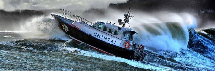 David Packham banner