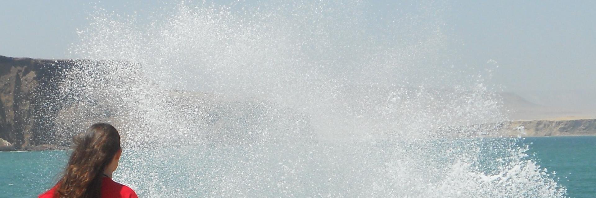 luliiluu's profile banner image