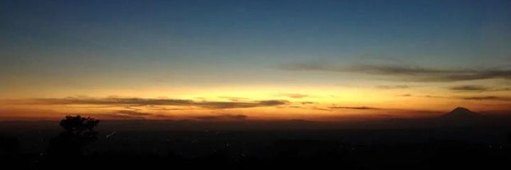🐨❤ banner