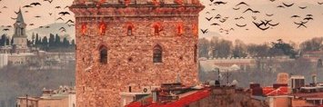 slowlyswing54's profile banner image