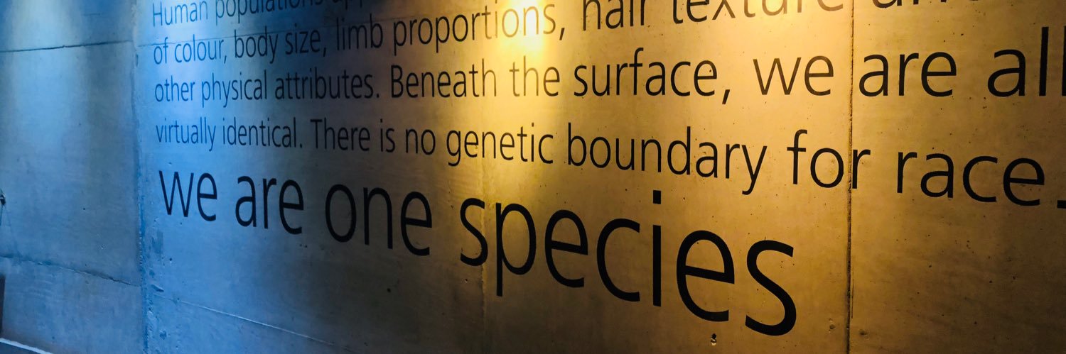 Roberto Cecutti banner