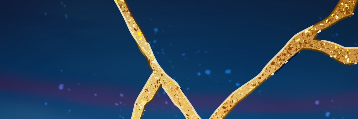 Carrochan 🐈‍⬛🐈 banner