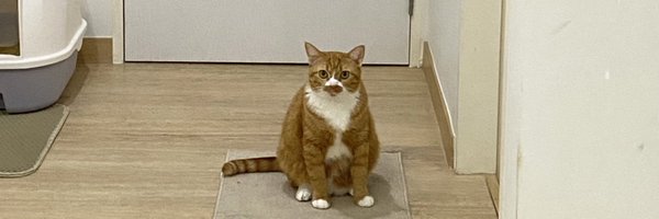 pamta19248 Profile Banner