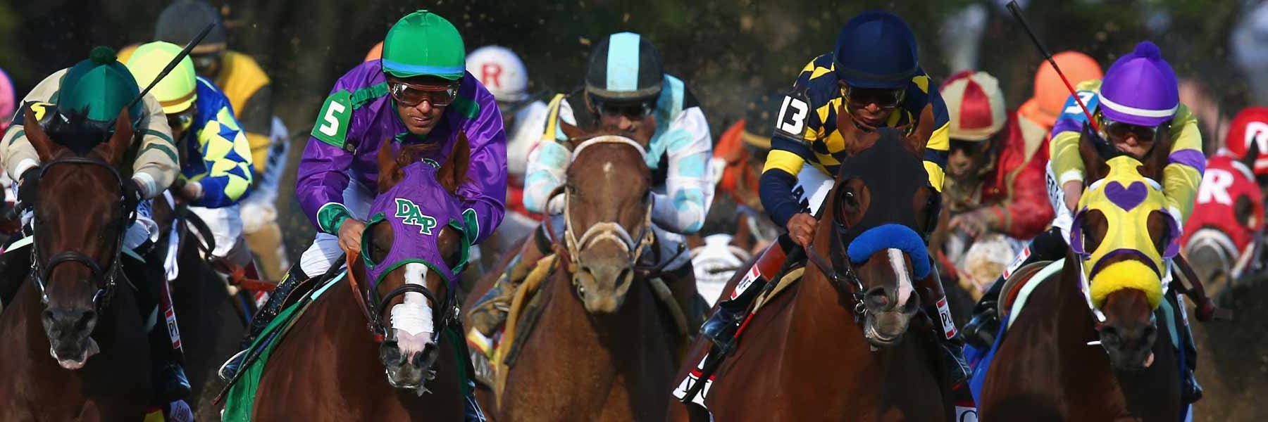 Super Horse Racing Tips banner