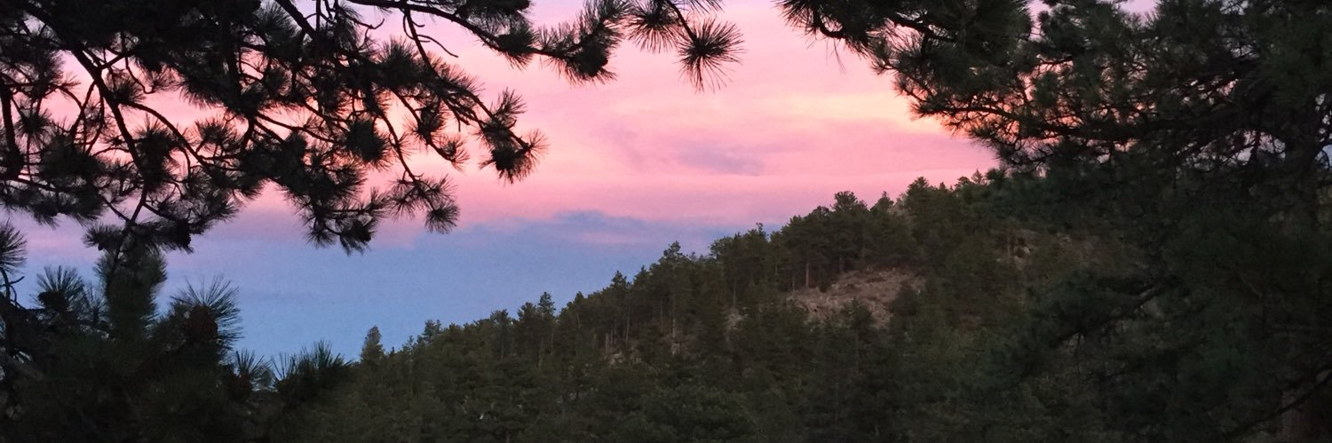 wtrotta's profile banner image