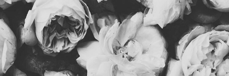 M i c h e l l e banner