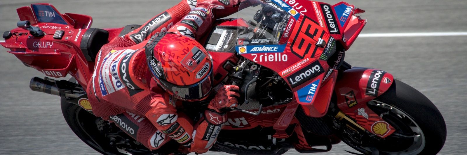 Gustavo Muleey banner