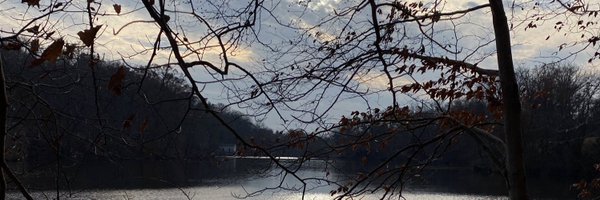 lkammar1 Profile Banner