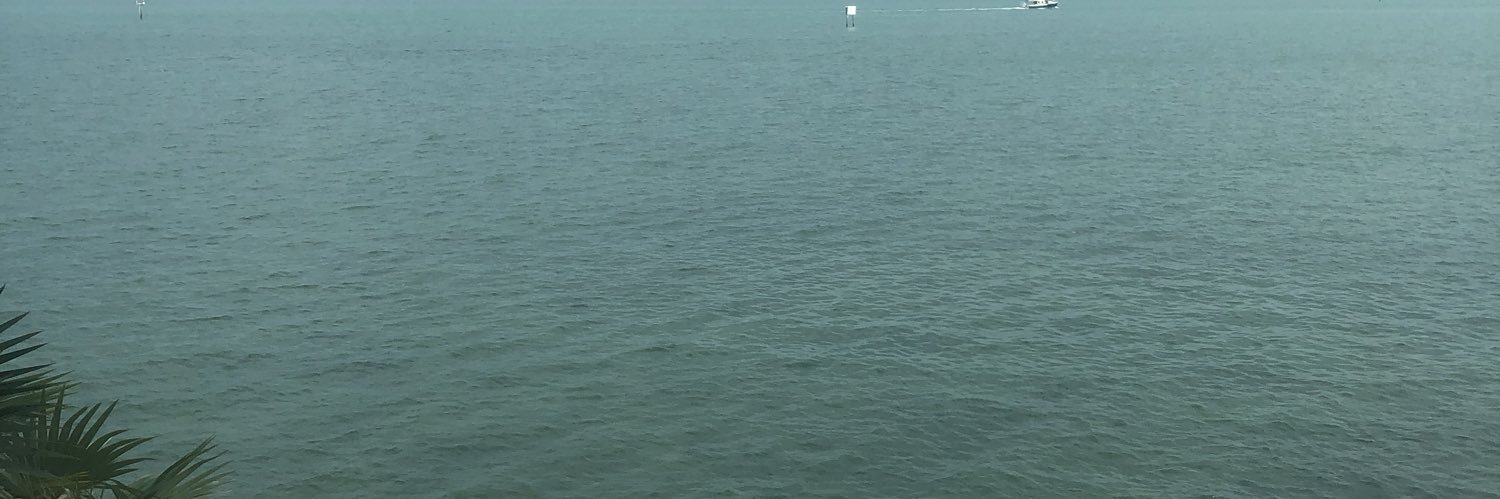 chebigolod's profile banner image
