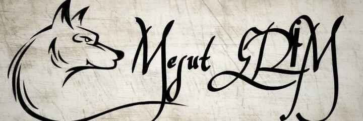 mesut_erim's profile banner image