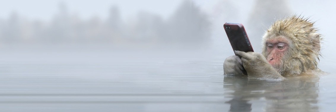 alanbirchstudio's profile banner image