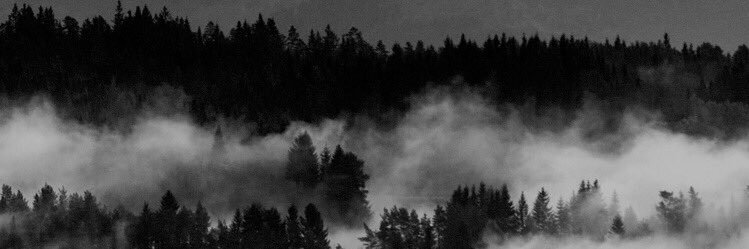 laurenduarte_'s profile banner image