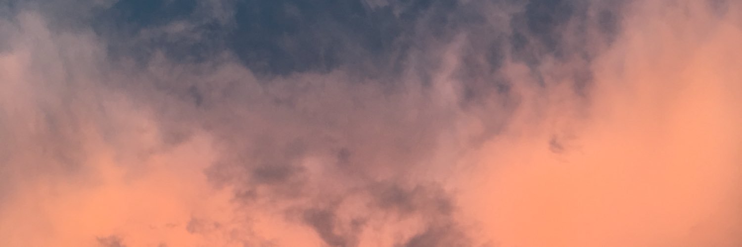 smorodinaaa's profile banner image