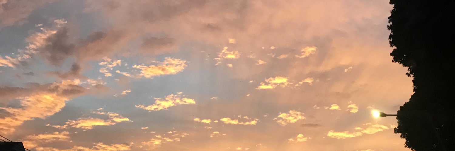 zeee🦊 banner