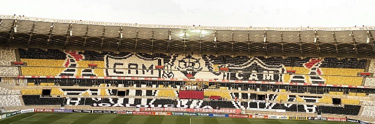 Davi banner