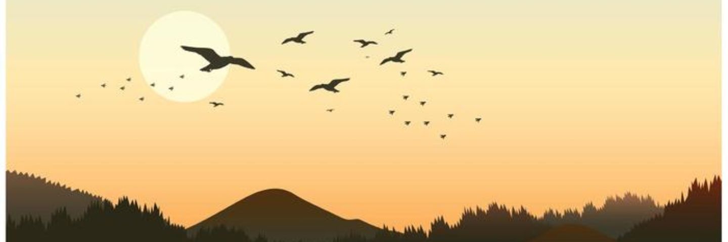 virllites's profile banner image