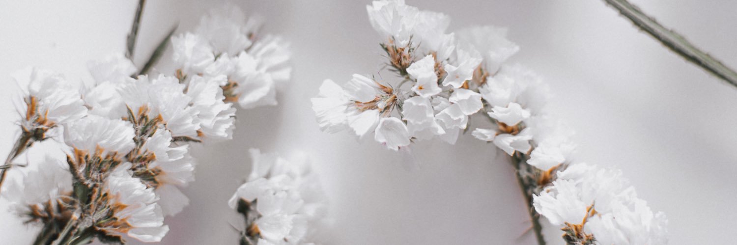 amanderrjanee's profile banner image