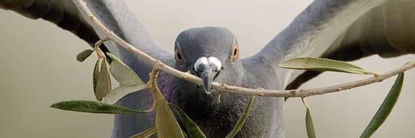 PierreTalamon Profile Banner