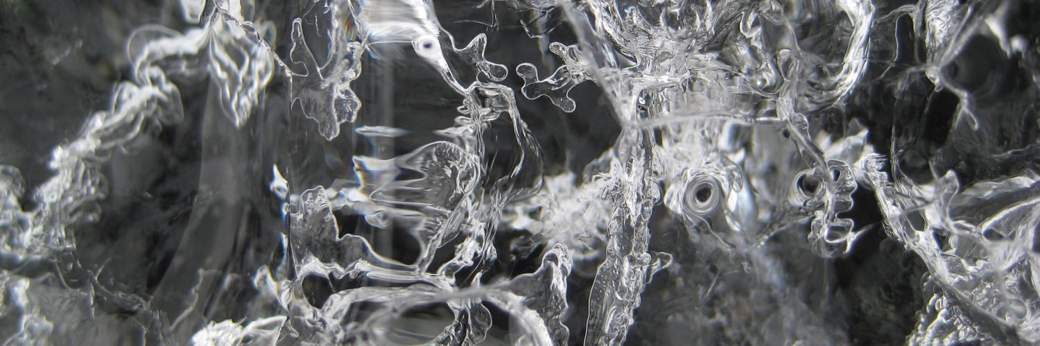 Dr. Leslie New banner