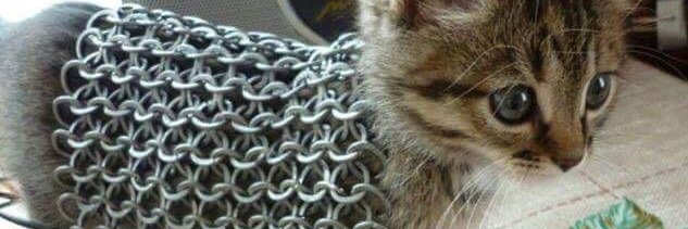 goodnight 🦎🦜💚 banner