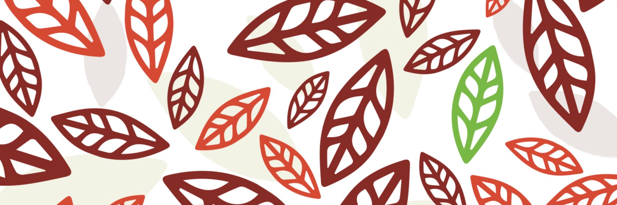 LifeAnato's profile banner image