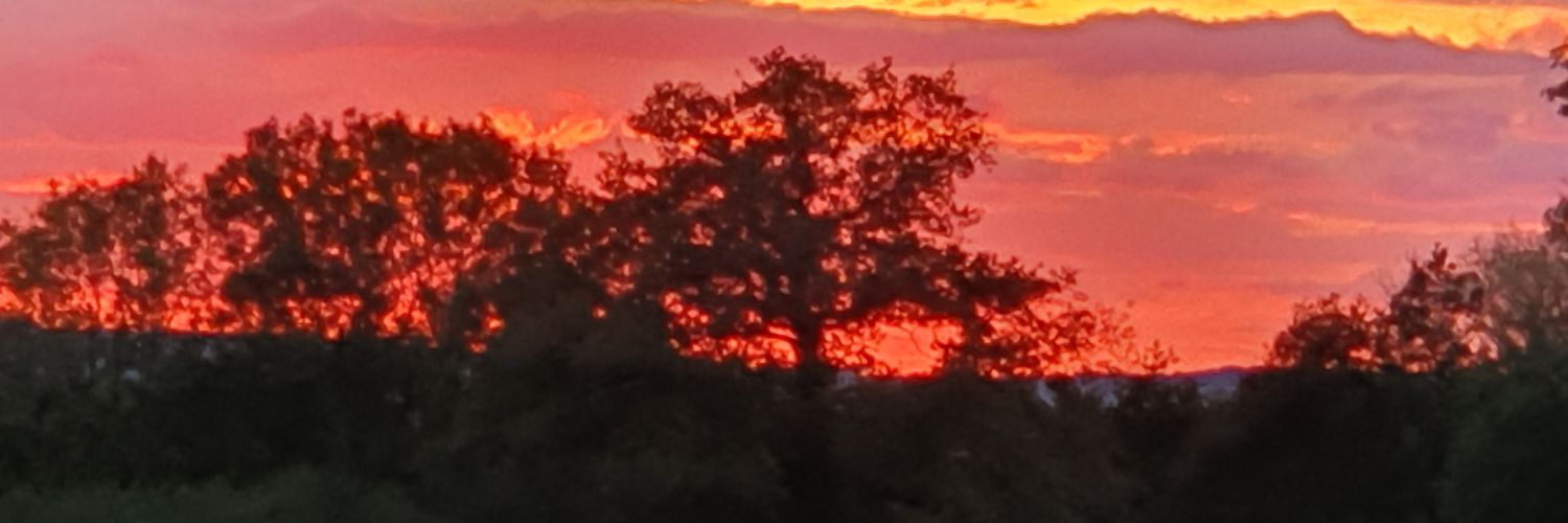 cazzie58's profile banner image