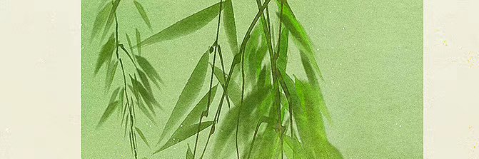 abbifullycap banner